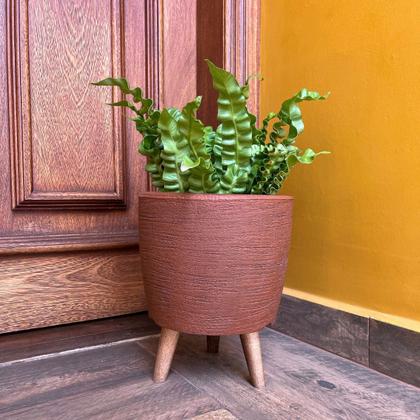 Imagem de Vaso Decorativo 20cm Com Tripé De Madeira Para Plantas E Flores