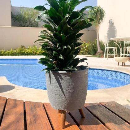 Imagem de Vaso Decorativo 20cm Com Tripé De Madeira Para Plantas E Flores