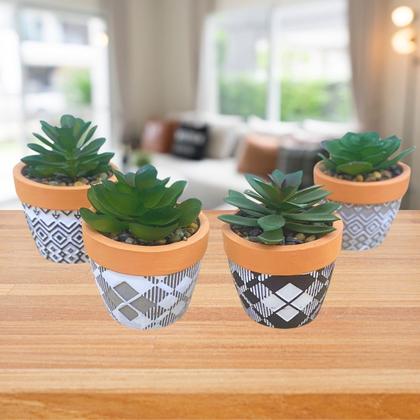 Imagem de Vaso decorativo de cimento com planta