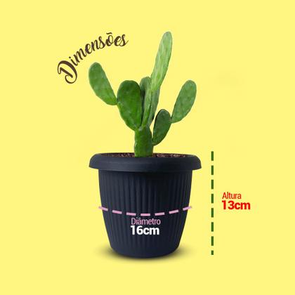 Imagem de Vaso Decorativos Plantas Flores Vários Tamanhos