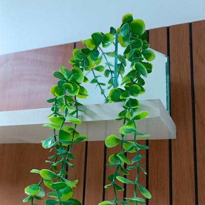 Imagem de Vaso Espelhado 10x10 com Musgo e Pendente de Eucalipto