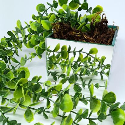 Imagem de Vaso Espelhado 10x10 com Musgo e Pendente de Eucalipto