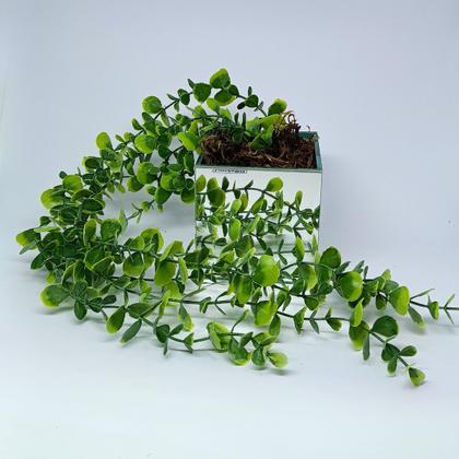 Imagem de Vaso Espelhado 10x10 com Musgo e Pendente de Eucalipto