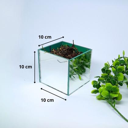 Imagem de Vaso Espelhado 10x10 com Musgo e Pendente de Eucalipto