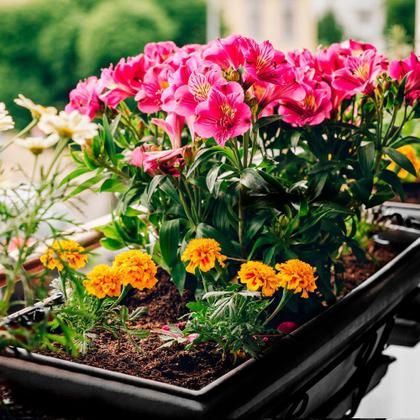 Imagem de Vaso Jardineira Floreira Grande Preto Arqplast