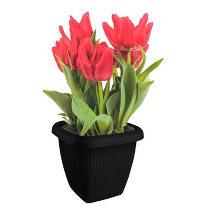 Imagem de Vaso Quadrado Para Plantas Com Prato Decoração Casa Jardim 3,9L