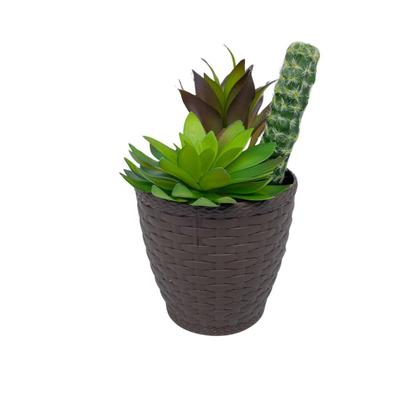 Imagem de Vaso Rattan M2 Kit Com 3 Unidades Cachepot Suculenta Violeta