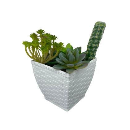 Imagem de Vaso Rattan Quadrado M2 - Cachepos Violeta Suculenta