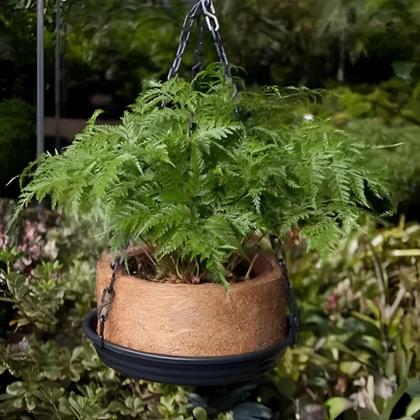 Imagem de Vaso Redondo Pendurar Nutricoco Suspenso Kit Completo N3