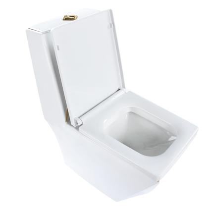 Imagem de Vaso Sanitário Acoplado (monobloco) Imperial Diamond Gold