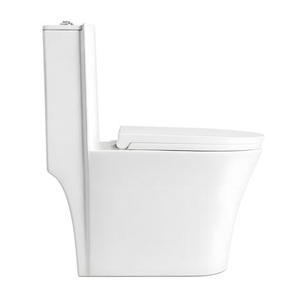 Imagem de Vaso Sanitário Acoplado (monobloco) Smart Norte 275