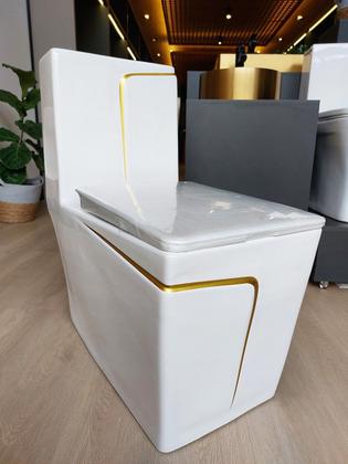 Imagem de Vaso Sanitário Monobloco Branco com Linha Dourada Reno R 806