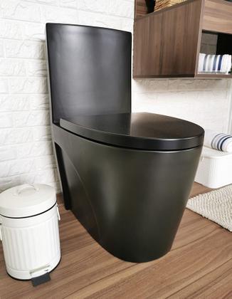 Imagem de Vaso Sanitário Monobloco Caixa Acoplada Preto Fosco Reno R 600