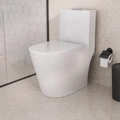 Imagem de Vaso Sanitário Monobloco Completo - Caixa Acoplada Privada modelo Acies Tubrax