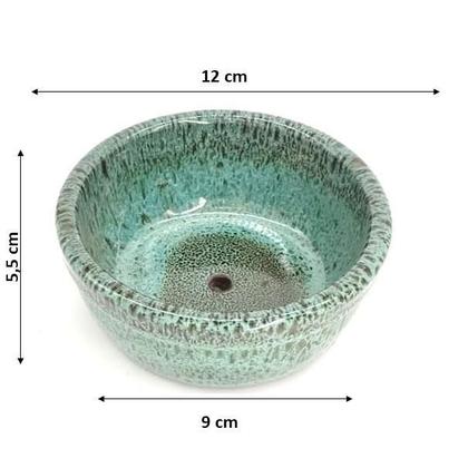 Imagem de Vaso Suculenta Verde Madeira