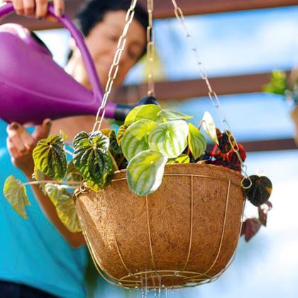 Imagem de Vaso Xaxim Fibra de Coco 19 X 9 Cm Orgânico