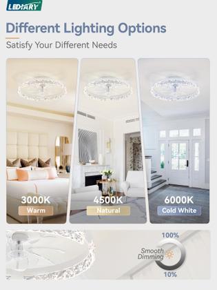 Imagem de Ventilador de teto LEDIARY 20" Flush Mount 3000K-6000K 110V