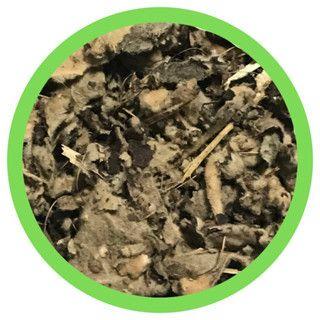 Imagem de Verbasco 250g (Erva Desidratada)
