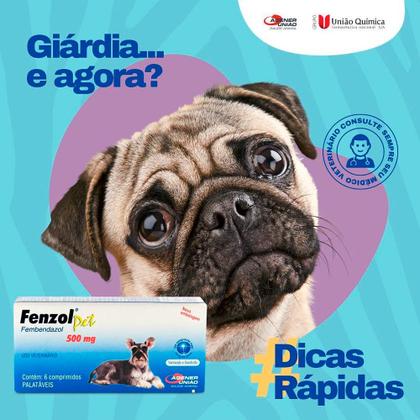 Imagem de Vermífugo Fenzol Pet 500 mg 6 comprimidos