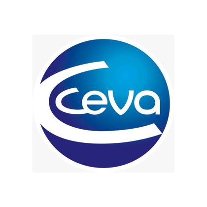 Imagem de Vermífugo Petzi Plus Cães 10kg Caixa Com 4 Comprimidos Ceva