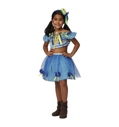 Imagem de Vestido de Festa Junina Conjunto Caipira Infantil pra Menina