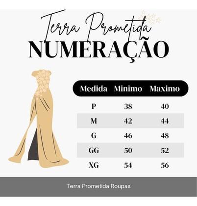 Imagem de Vestido Feminino Midi Terra Prometida Plissado