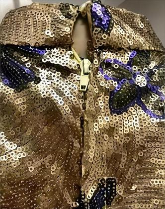 Imagem de Vestido Longo Festa Indiano Em Tule Bord Com Paetê Dourado