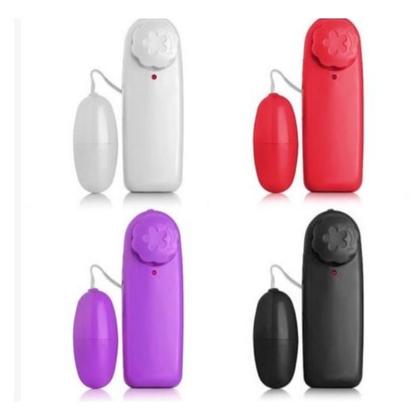 Imagem de Vibrador Feminino Bullet com Cápsula Estimulador Clitóris Controle Remoto com Fio