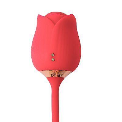 Imagem de Vibrador Feminino Estimulador Para Ponto G e Clitóris Função Dedilhar