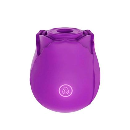 Imagem de Vibrador Feminino Estimulador Sugador de Clitóris com Pulsação Massageador Recarregável 