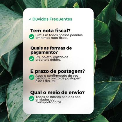 Imagem de Vinagre De Maça 100% Orgânico Acidez 4,2% 500ml - 4 Estações