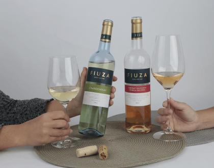 Imagem de Vinho Branco Português Fiuza Chardonnay