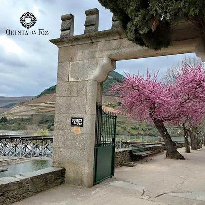 Imagem de Vinho Branco Português Vinha da Foz Douro DOC