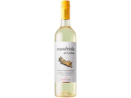 Imagem de Vinho Branco Seco Mandriola de Lisboa 2021