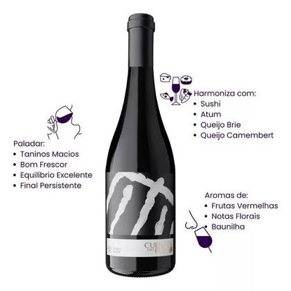 Imagem de Vinho CHILE Fino Tinto Seco Cuentos del Fuego Pinot Noir 750ML