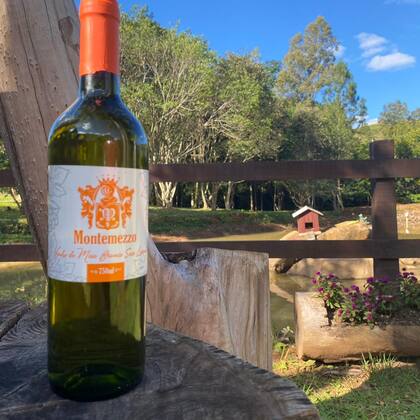 Imagem de Vinho de Mesa Branco Seco Lorena