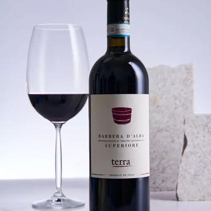 Imagem de Vinho ITÁLIA Barbera D Alba - TERRA 750ML