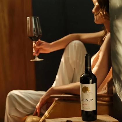 Imagem de Vinho Malbec Argentino La Linda Luigi Bosca 750 ml