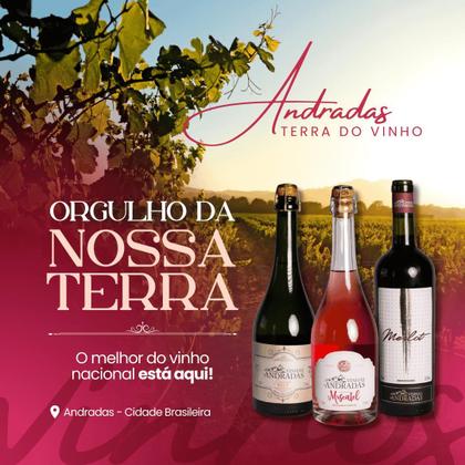 Imagem de Vinho Moscatel Marcon Licoroso Doce 750ml