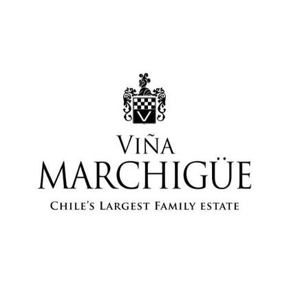 Imagem de Vinho Tinto Chileno Errazuriz Ovalle Collection Syrah