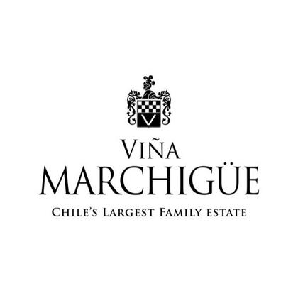 Imagem de Vinho Tinto Chileno Errazuriz Ovalle Collection Syrah
