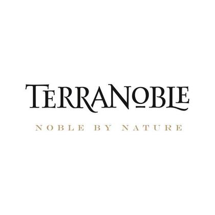 Imagem de Vinho Tinto Chileno Terranoble Cabernet Sauvignon Reserva