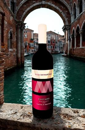 Imagem de VINHO TINTO ITALIANO VILLA SAN MARTINO PINOT NOIR IGT 750ml