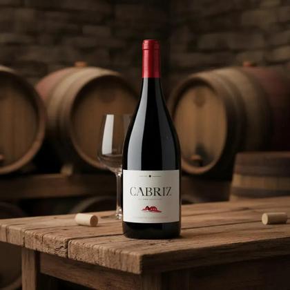 Imagem de Vinho Tinto Português Cabriz Colheita Selecionada DOC Dão 750ml