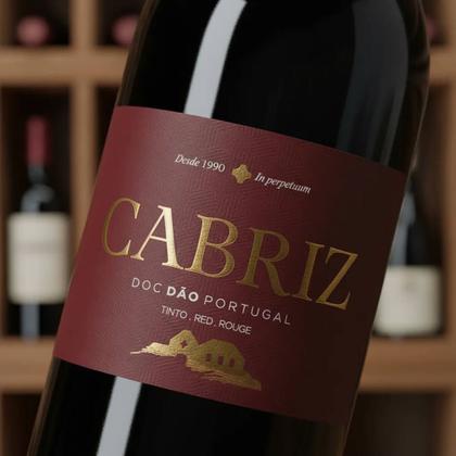 Imagem de Vinho tinto seco Cabriz DOC DãO Ecolha - 750ml