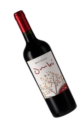 Imagem de Vinho Tinto Uruguaio Ombú Braccobosca Tannat 2022