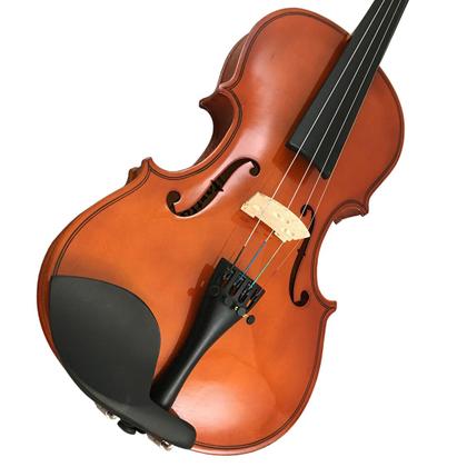 Imagem de Violino Tarttan Série 100 Natural 4/4