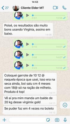 Imagem de Virgin Mixx Gold Virginiamicina - Alta Concentração - 20 Kg