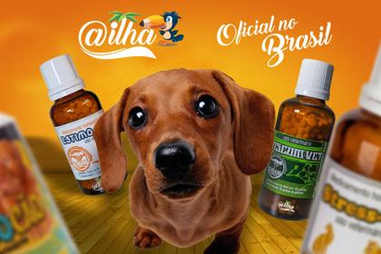 Imagem de Viscum Vet para tratamento cães e gatos 