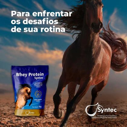 Imagem de Whey Protein Syntec Suplemento Equinos - 4Kg